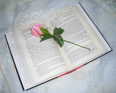 examen practicas de internet